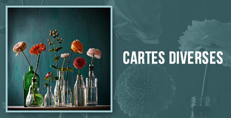 Cartes diverses