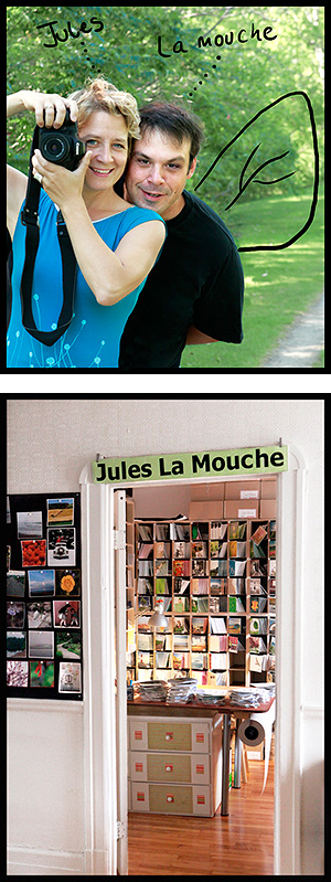 Jules la mouche